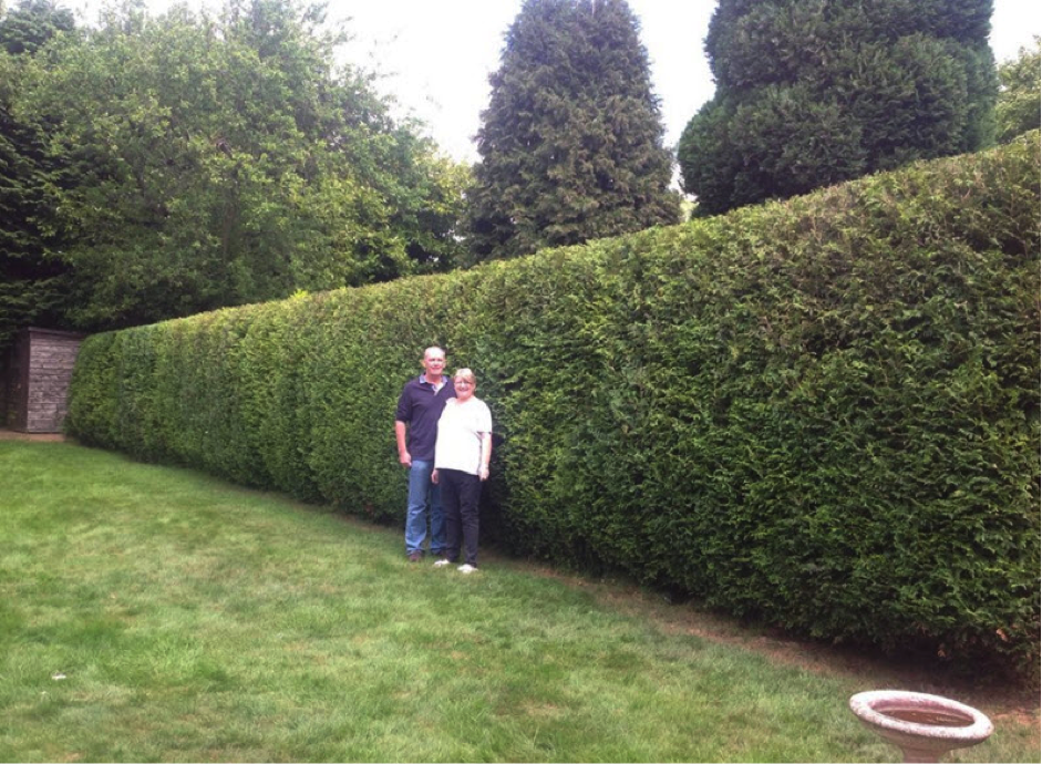 Gallery | The Sutton Coldfield Tree Surgery Co.